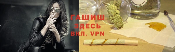 гидра Бородино