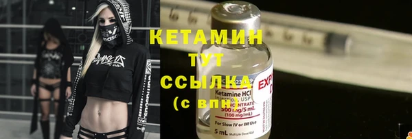 гидра Бородино