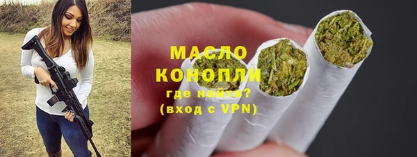 гидра Бородино