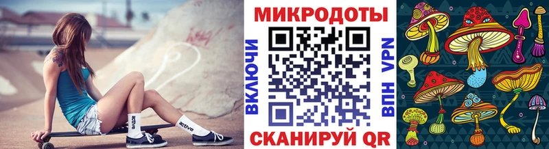 Купить Голицыно Псилоцибиновые грибы GOLDEN TEACHER